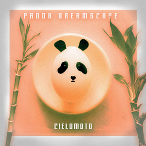 亚洲高清无码在线免费观看不卡A
