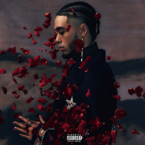 亚洲高清无码在线免费观看不卡A
